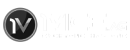 1Vice logo