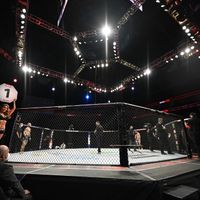 UFC 270 Prop Betting Picks: The Perfect Proposition