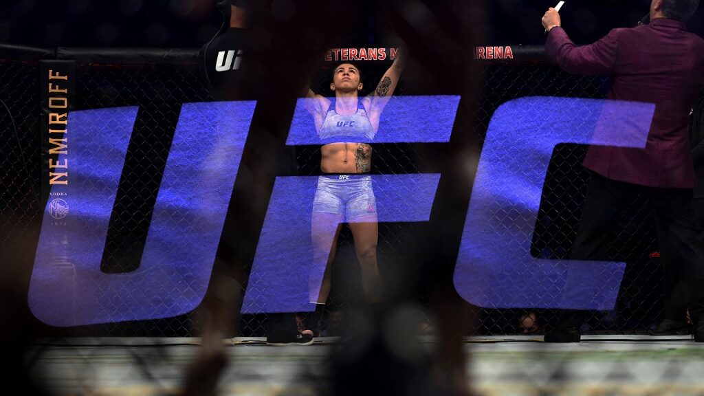 UFC Vegas 55 Prop Betting Picks: The Perfect Proposition