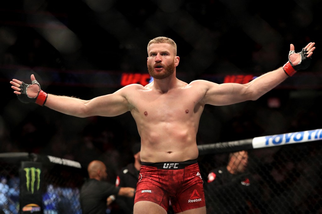 Jan Blachowicz wins UFC 239 fight.
