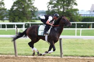 Horse racing 2022 Belmont Stakes We the People