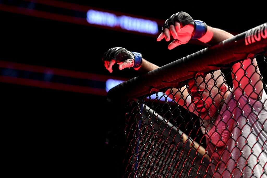 Glover Teixeira Light Heavyweight bout UFC Fight Night
