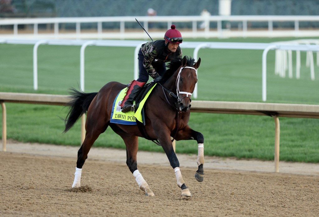 Tawny Port Kentucky Derby Churchill horse racing odds.
