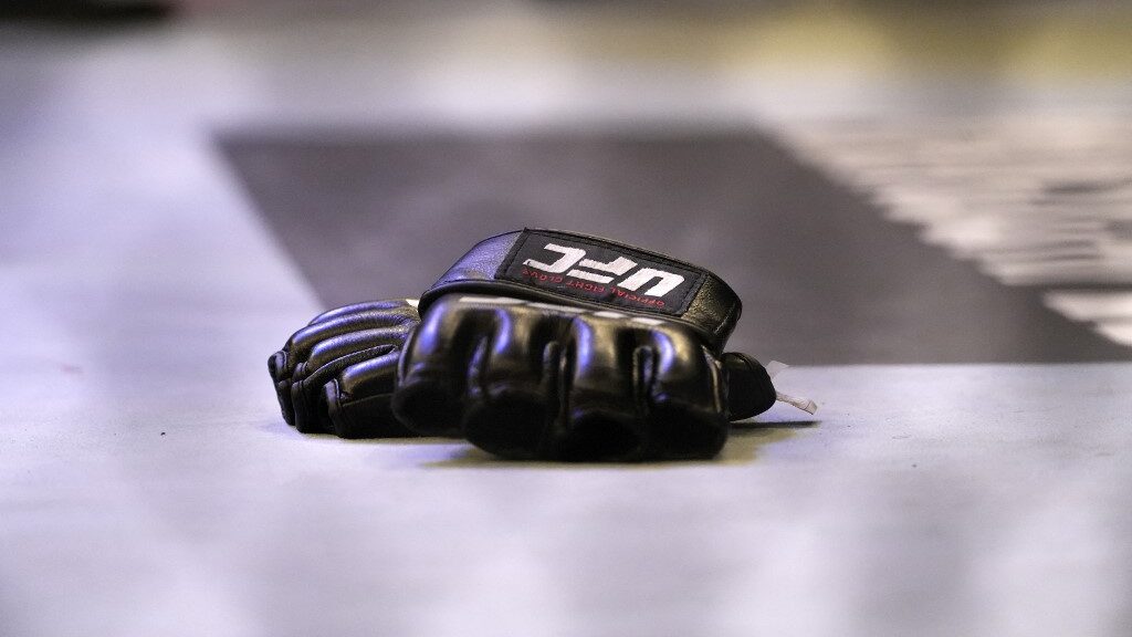 ufc-gloves-ultimate-fighting-championship-vegas-aspect-ratio-16-9