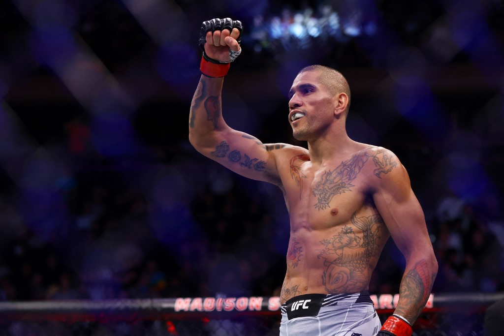 Alex Pereira TKO victory Andreas Michailidis middleweight bout UFC.