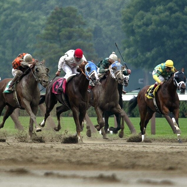 saratoga-race-track-horse-racing-new-york-aspect-ratio-1-1
