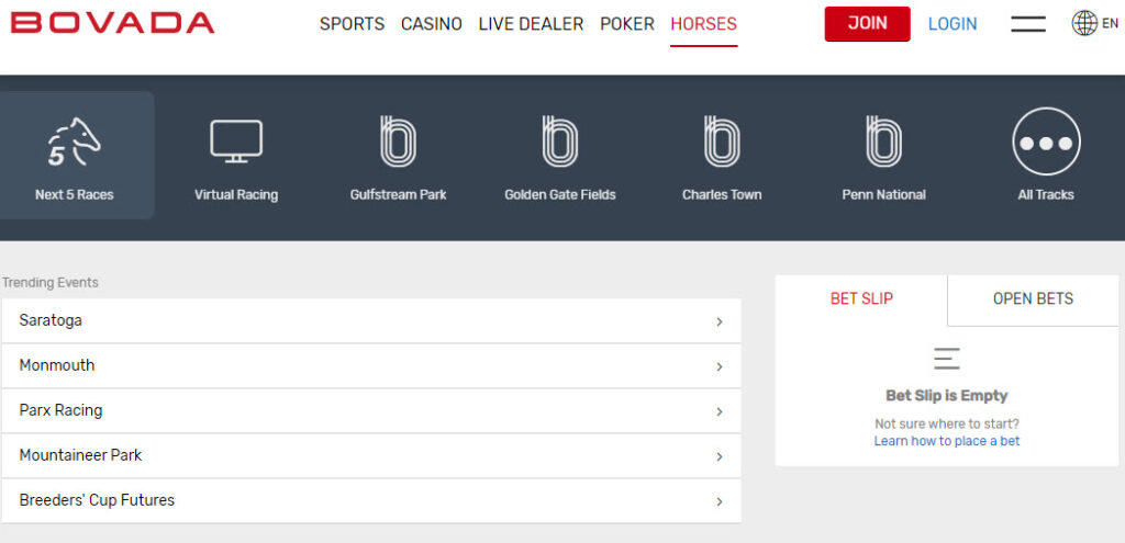 Bet on Bovada for the best sportsbook catalog - Dog & Pony DC