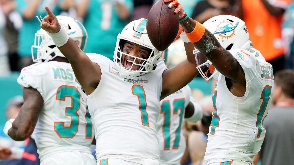 Miami Dolphins individual stats 2022 review: Tua Tagovailoa, Tyreek Hill,  Jaylen Waddle - The Phinsider