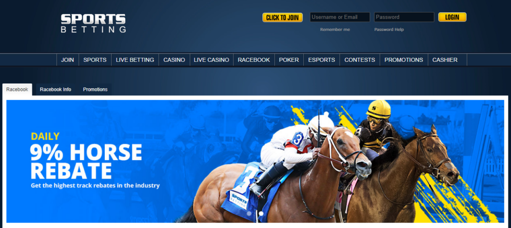 Top 10 Betting Sites for Horse Racing in Washington State