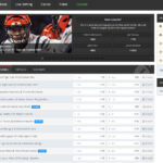 Everygame Sportsbook Interface