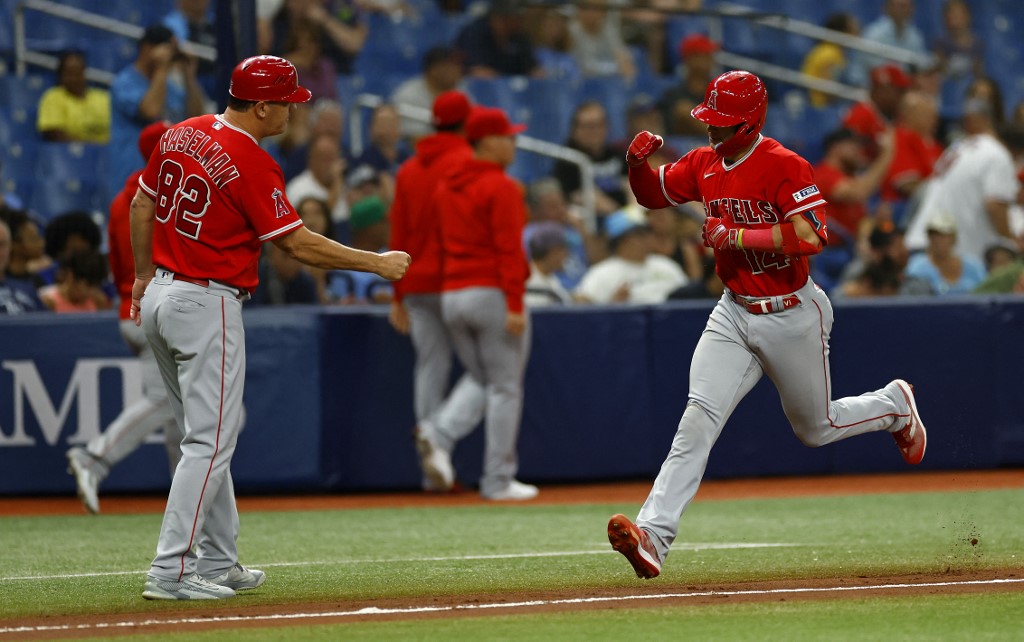 Logan O'Hoppe of the Los Angeles Angels is congratulated after hitting a home run against the Tampa Bay Rays.