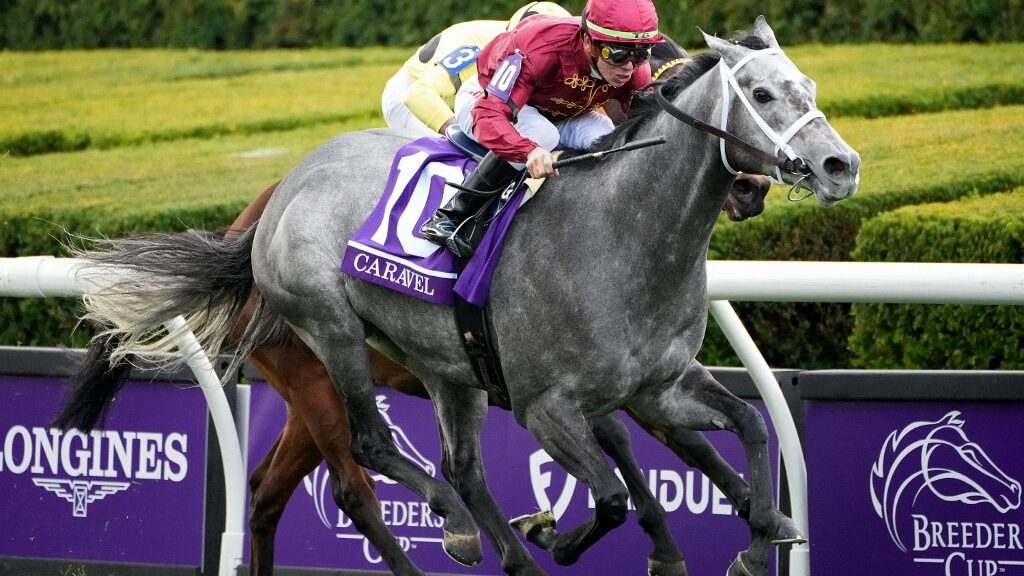 Jockey-Tyler-Gaffalione-rides-Caravel-to-win-the-Breeders-Cup-Turf-Sprint-during-the-2022-Breeders-Cup-at-Keeneland-Race-Course-on-November-05-2022-in-Lexington-Kentucky-aspect-ratio-16-9