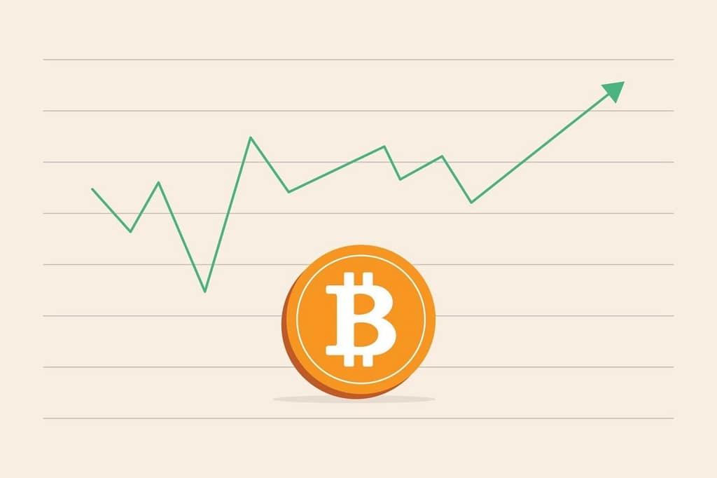 Will-Bitcoin-Hit-100000-in-20243