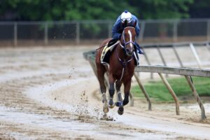 Mystik Dan Preakness Previews track weather wet