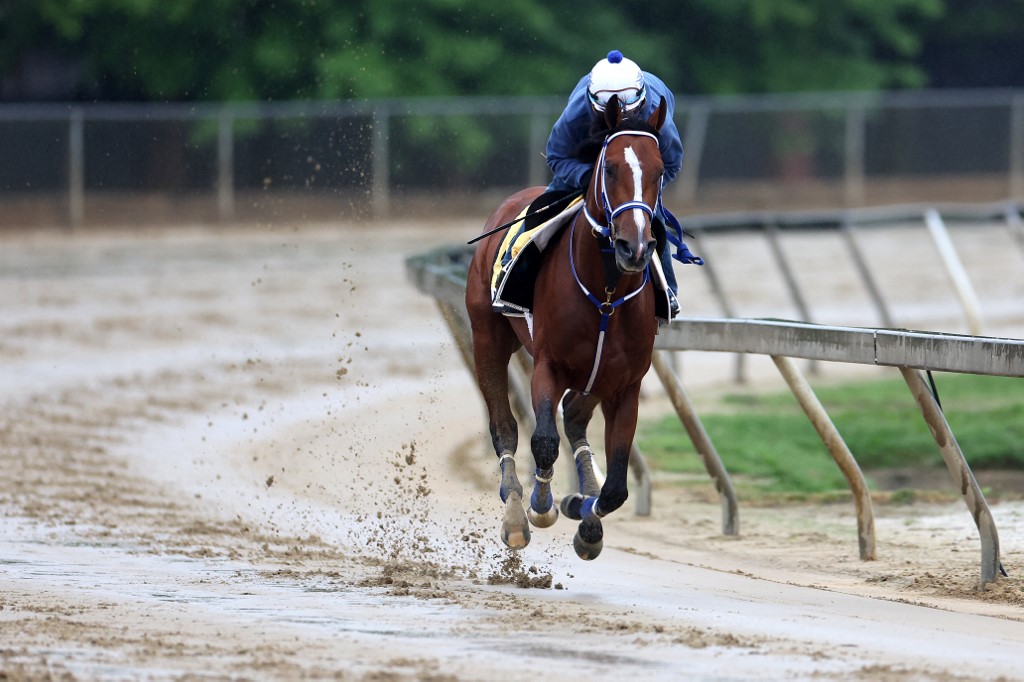 Mystik Dan Preakness Previews track weather wet