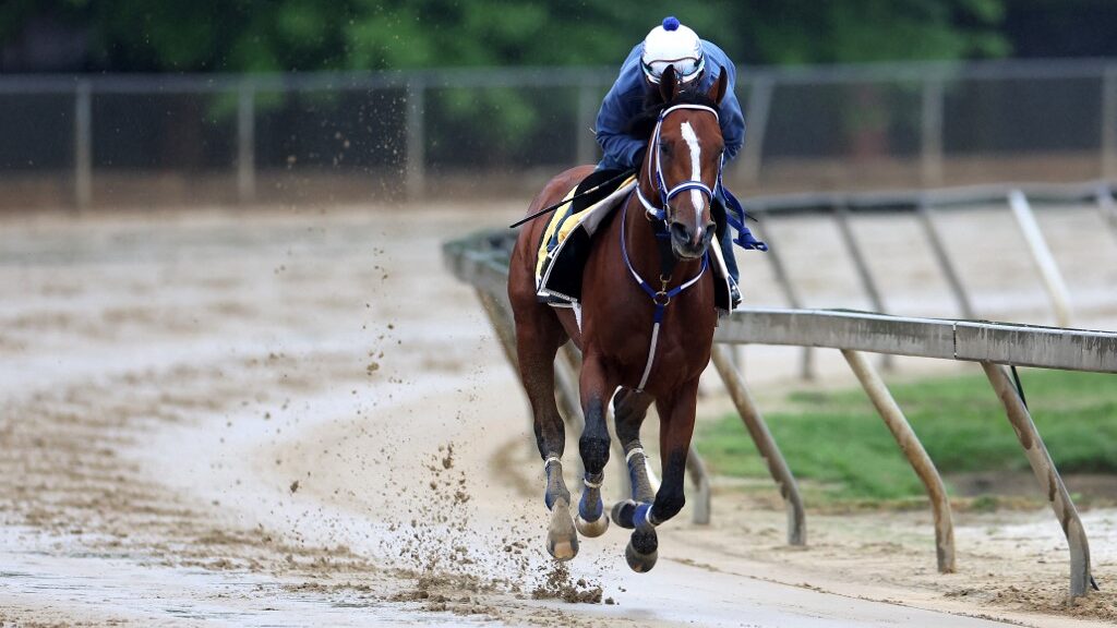 Exercise-rider-Robby-Albarado-takes-Kentucky-Derby-winner-Mystik-Dan-over-the-track-during-a-training-session-ahead-of-the-149th-running-of-the-Preakness-Stakes-aspect-ratio-16-9