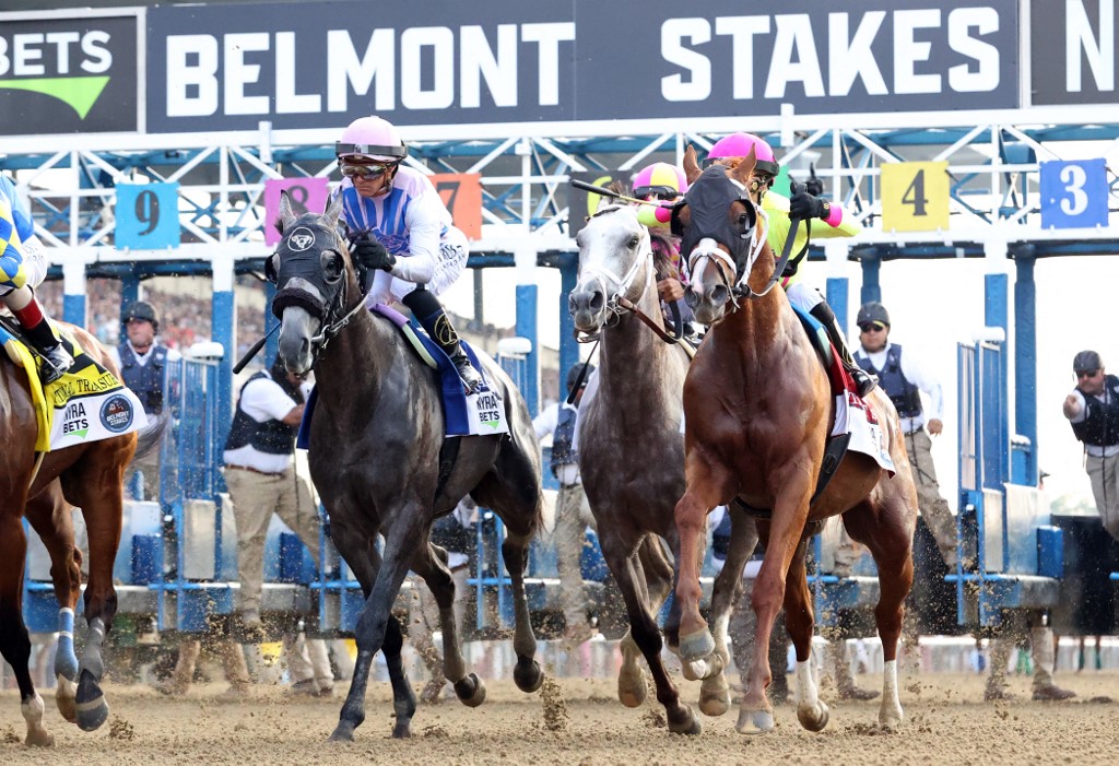 Belmont Stakes betting guide