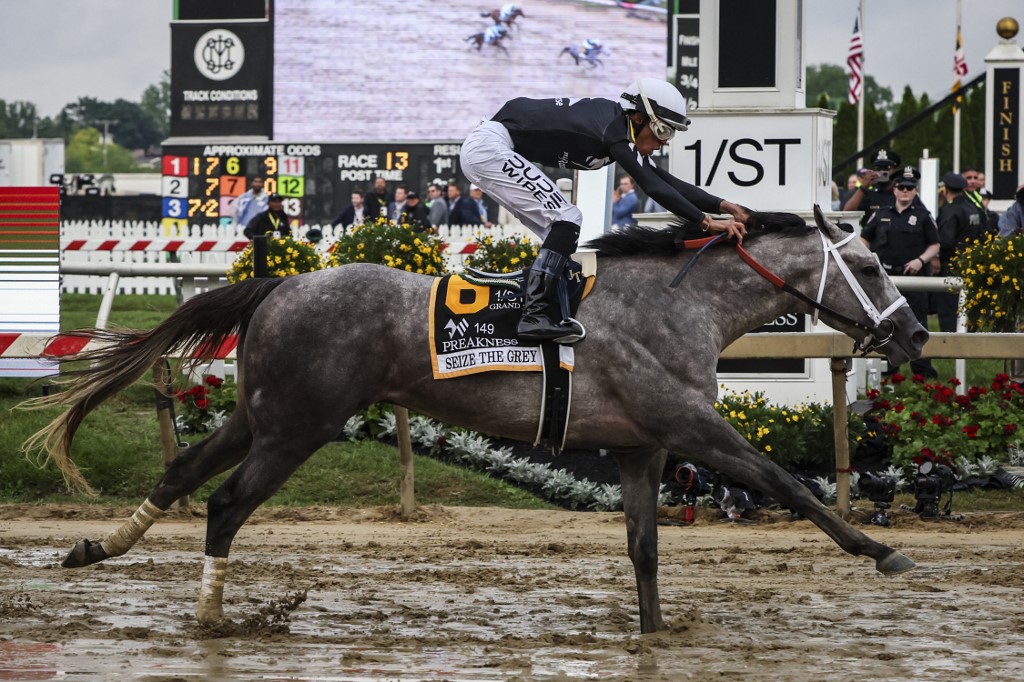 Seize the Grey Preakness Stakes winner