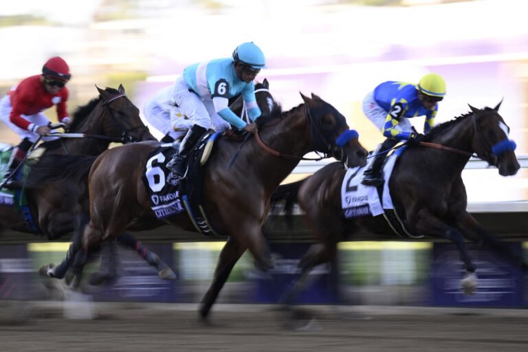 Citizen Bull 2024 Breeders' Cup World Championships