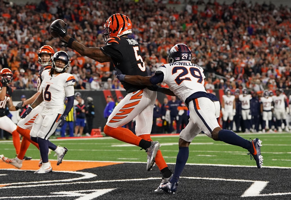 Tee Higgins Cincinnati Bengals