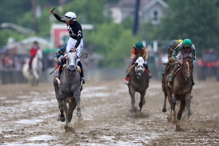 Seize the Grey 149th Preakness Stakes