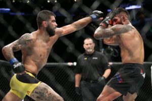 UFC Fight Night: Weidman v Gastelum