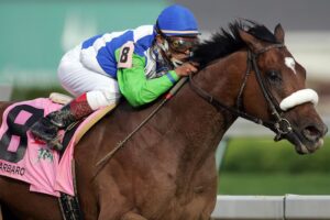 Barbaro at the Kentucky Derby