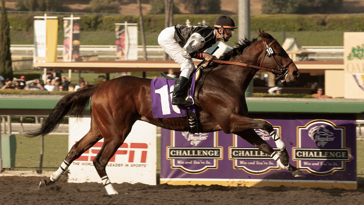 mine-that-bird-horse-aspect-ratio-16-9