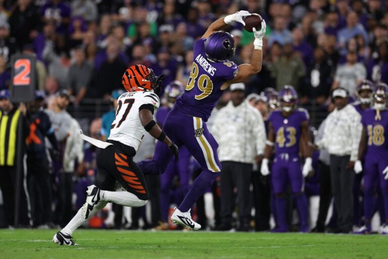 After last year's win, the Bengals and Ravens meet again this Thanksgiving for revenge. Check out our NFL Thanksgiving Picks!