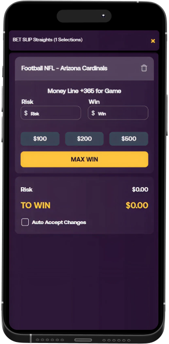 BetAnything mobile betslip
