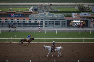 Race horses are seen during their morning workout at Santa Anita Park racetrack