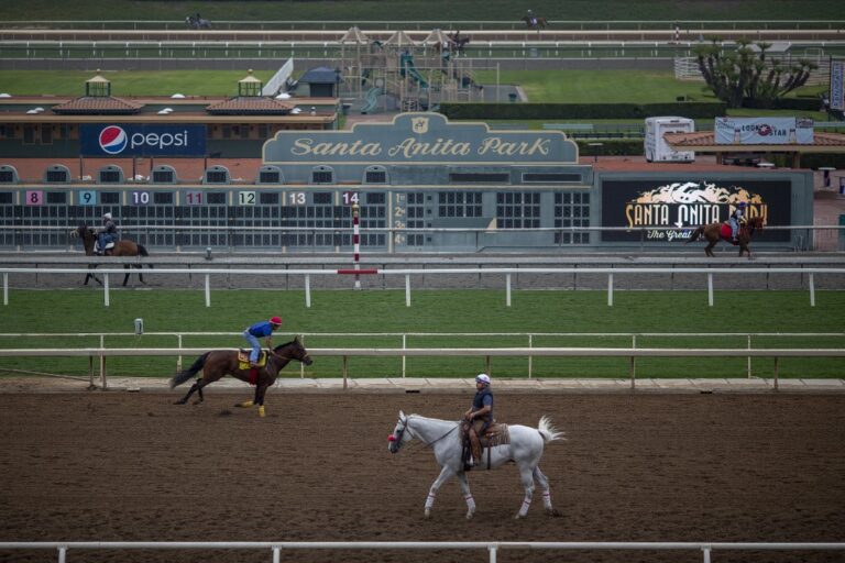 Race horses are seen during their morning workout at Santa Anita Park racetrack