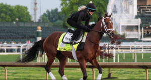 Kentucky Derby Favorite Renegade